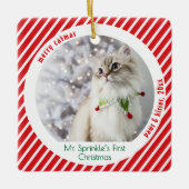 かわいい猫のクリスマス記念アクセサリー セラミックオーナメント (正面)