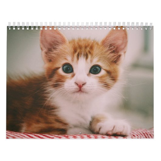 かわいい猫のシンプルモダン カレンダー (カバー)