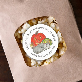 かわいい猫のステッカーを騙すか治療する ラウンドシール