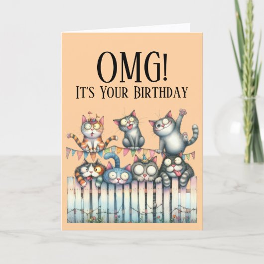 かわいい猫のテーマの誕生日カード シーズンカード (正面)
