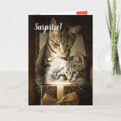 かわいい猫のハートバレンタインカード カード (正面)