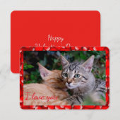 かわいい猫のバレンタインカード 招待状 (正面/裏面)