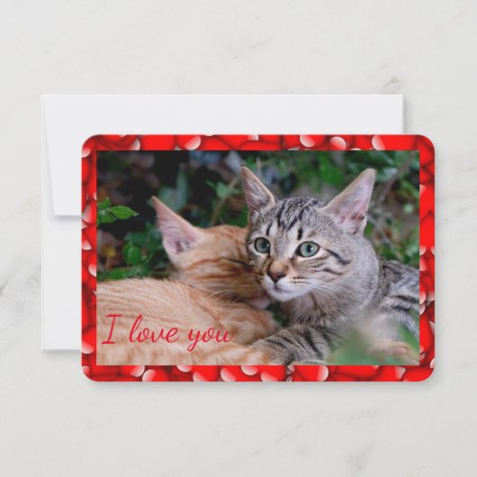 かわいい猫のバレンタインカード 招待状 (正面)