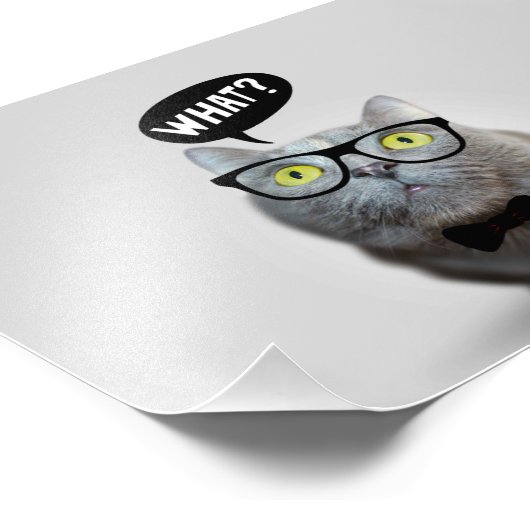 かわいい猫のメガネの子猫what引用文 おもしろい フォトプリント            (角)