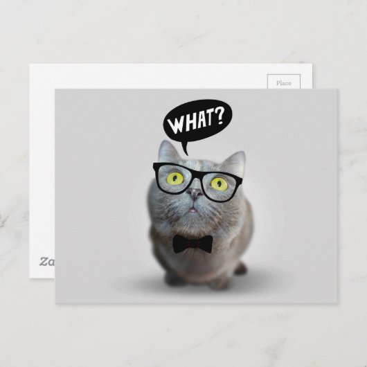 かわいい猫のメガネ付き子猫what引用文プリント ポストカード (正面/裏面)