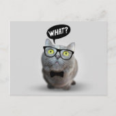 かわいい猫のメガネ付き子猫what引用文プリント ポストカード (正面)