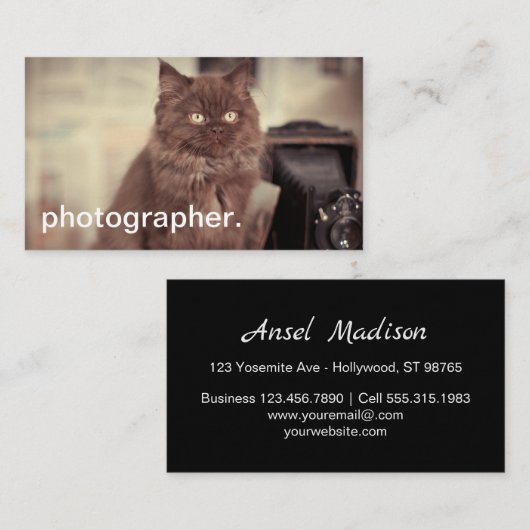 かわいい猫のヴィンテージのカメラのカメラマン 名刺 (正面/裏面)