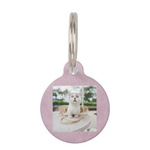 かわいい猫の写真とQRコード  ピンクネコペット用名札 ペット　ネームタグ