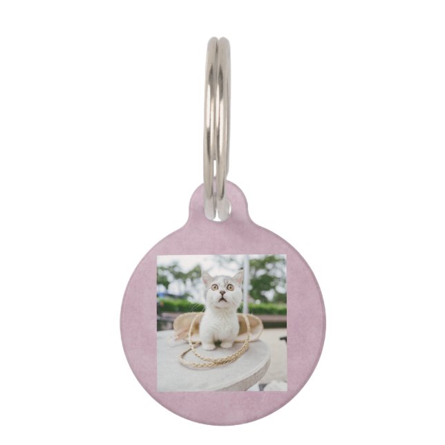 かわいい猫の写真とQRコード |ピンクネコペット用名札 ペット　ネームタグ (正面)