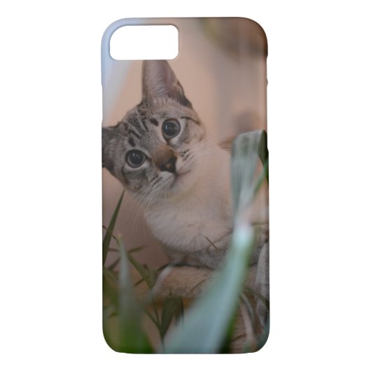 かわいい猫の写真のポートレート Case-Mate iPhoneケース (裏面)
