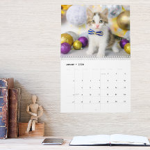 かわいい猫の写真 それが猫の人生 2027