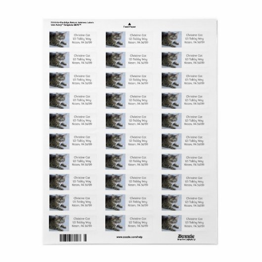 かわいい猫の写真 ラベル (フルシート)