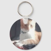 かわいい猫の写真 差し替え可能 キーホルダー (裏面)