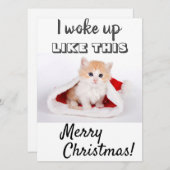 かわいい猫の写真... 赤い写真 シーズンカード (正面/裏面)