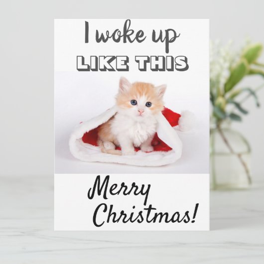 かわいい猫の写真... 赤い写真 シーズンカード (スタンド正面)