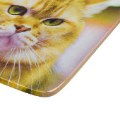 かわいい猫の写真|過去記事買今 カッティングボード (角)