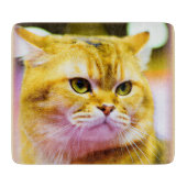 かわいい猫の写真|過去記事買今 カッティングボード (正面)