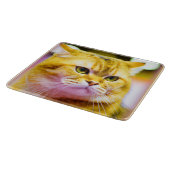 かわいい猫の写真|過去記事買今 カッティングボード (角)