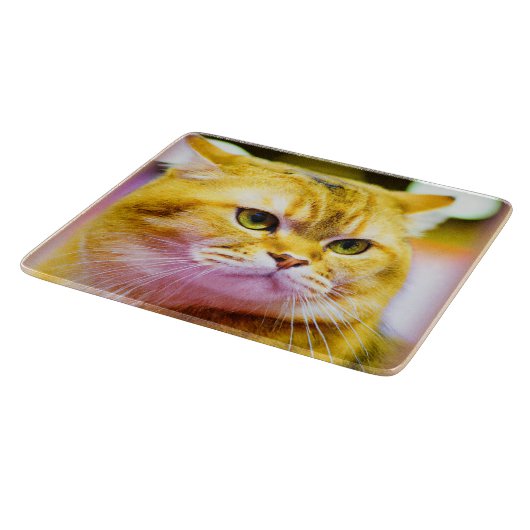 かわいい猫の写真|過去記事買今 カッティングボード (角)