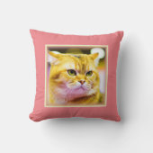 かわいい猫の写真|過去記事買今 クッション (正面)