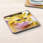 かわいい猫の写真|過去記事買今 コースター (左側)