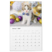 かわいい猫の写真 It's A Cat's Life 2026 カレンダー (1月 2027)