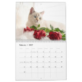 かわいい猫の写真 It's A Cat's Life 2026 カレンダー (2月 2027)