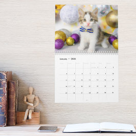 かわいい猫の写真 It's A Cat's Life 2026 カレンダー