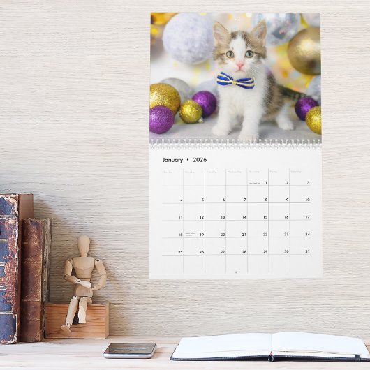 かわいい猫の写真 It's A Cat's Life 2026 カレンダー