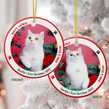 かわいい猫の初めてのクリスマスカスタムペットフォト