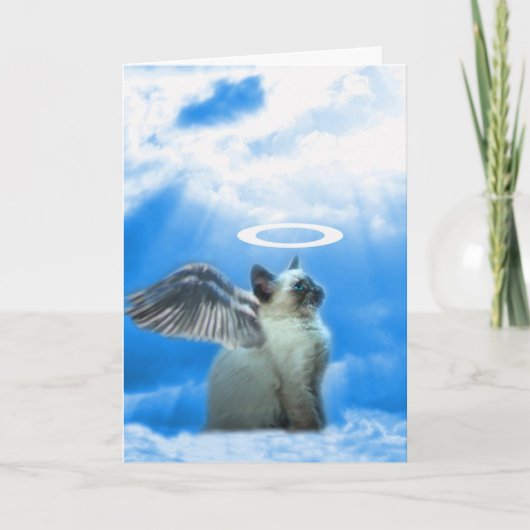 かわいい猫の子ネコのクリスマスカード シーズンカード (正面)