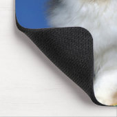 かわいい猫の子ネコM003 マウスパッド (コーナー)