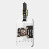 かわいい猫の悪い子 ラゲッジタグ (正面縦)