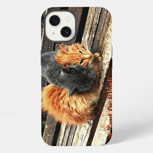 かわいい猫の昼寝 iPhoneケース (裏面)