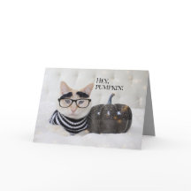 かわいい猫の毛の眉毛と眼鏡ハロウィン