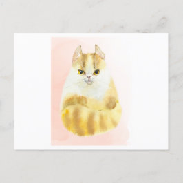 かわいい猫の水彩 ポストカード