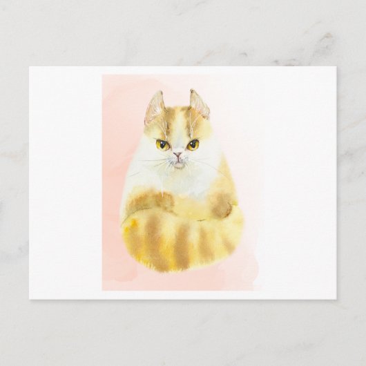 かわいい猫の水彩 ポストカード (正面)
