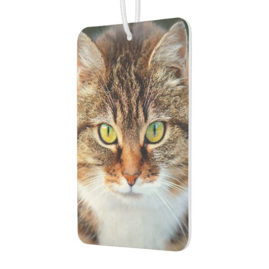 かわいい猫の目 カーエアーフレッシュナー (左)