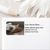 かわいい猫の眠る差出人住所ラベル ラベル (インサイチュ)