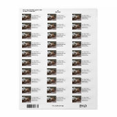 かわいい猫の眠る差出人住所ラベル ラベル (フルシート)