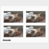かわいい猫の眠る長方形ステッカー 長方形シール (シート)