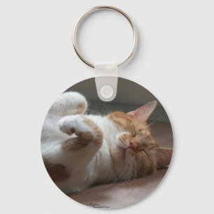 かわいい猫の睡眠Keychain キーホルダー