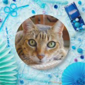 かわいい猫の紙皿 ペーパープレート (パーティー)