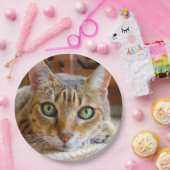 かわいい猫の紙皿 ペーパープレート (パーティー)