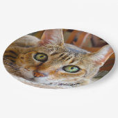 かわいい猫の紙皿 ペーパープレート (アングル)