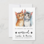 かわいい猫の結婚式招待状 セーブザデート (正面)