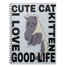 かわいい猫の良い暮らし