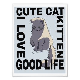 かわいい猫の良い暮らし フォトプリント           