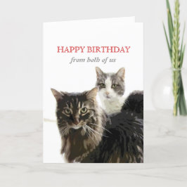 かわいい猫の誕生日カード カード