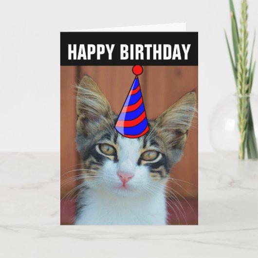 かわいい猫の誕生日カード カード (正面)